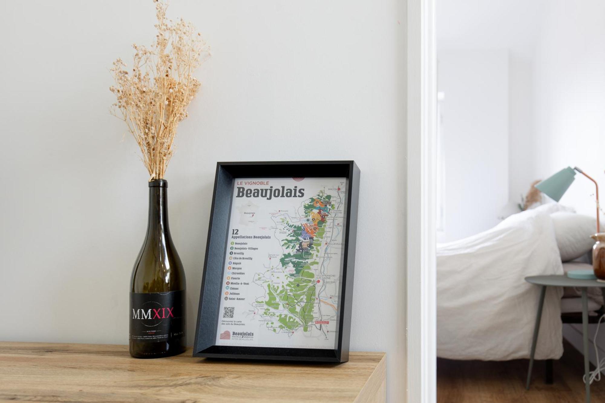 Appartement Climatise 2 Chambres Villefranche-sur-Saône Εξωτερικό φωτογραφία